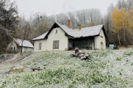 Decemberi madárgyűrűzés Jávorkúton