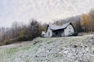 Decemberi madárgyűrűzés Jávorkúton