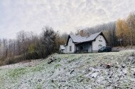 Novemberi madárgyűrűzés a Szitakötő Háznál