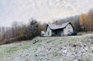 Februári madárgyűrűzés Jávorkúton