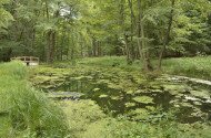 BETELT - Vizes Élőhelyek Világnapja