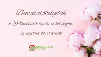 Pünkösdi ünnepi nyitvatartás