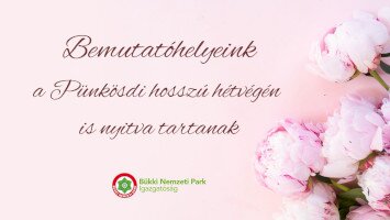 Pünkösdi ünnepi nyitvatartás