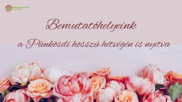 Pünkösdi ünnepi nyitvatartás