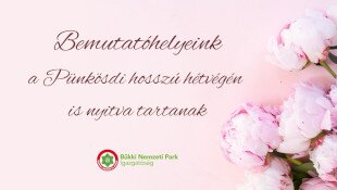 Pünkösdi ünnepi nyitvatartás