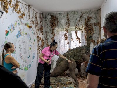 PXL_20230815_090244846