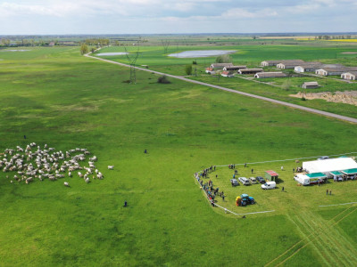 DJI_0488