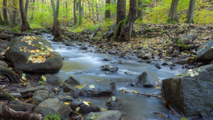 REJTETT ÉRTÉKEINK VETÉLKEDŐ 2025/2026.