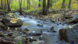 REJTETT ÉRTÉKEINK VETÉLKEDŐ 2025/2026.