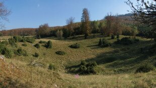 Répáshuta - Nagyvisnyó - Nagymező - Kis-kőháti zsomboly Tanösvény