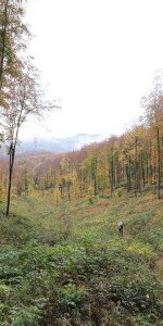 Répáshuta - Rejteki természetismereti tanösvény I. (kis kör)