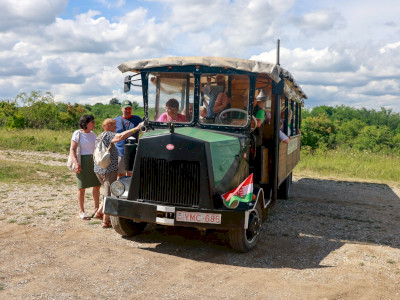 MB-6594