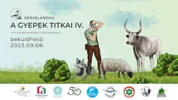 Sajtóközlemény - A gyepek titkai IV. fotópályázat