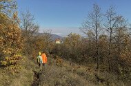 Gyöngyös-Mátrafüred, Sár-hegyi Mandula tanösvény