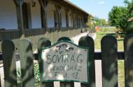 Sóvirág Vendégház