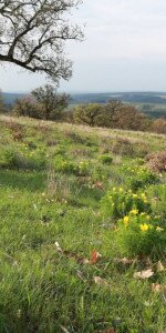 Suba-lyuk tanösvény