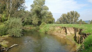 Szabó Lőrinc és az Ipoly, avagy gőték az irodalomban