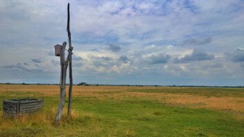 Szalakótaodú, legeltetett gyepen