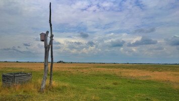 Szalakótaodú, legeltetett gyepen
