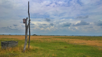 Szalakótaodú, legeltetett gyepen