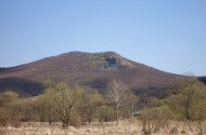 Szárkő