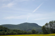Szárkő