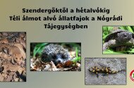 Szendergőktől a hétalvókig - Téli álmot alvó állatfajok a Nógrádi Tájegységben