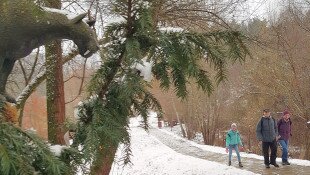 Szilveszteri túra a Miocén Ősvilágba