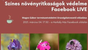 Színes növényritkaságok védelme - Facebook LIVE