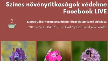 Színes növényritkaságok védelme-Facebook LIVE