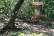 Felsőtárkány – Vár Hill Nature Trail