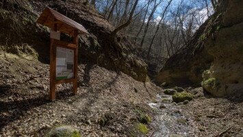 Tanösvényt létesítettek a Páris-patak völgyében