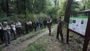 Tanulmányút a Life4OakForests pályázat keretében