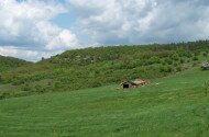 Tardi legelő Természetvédelmi Terület