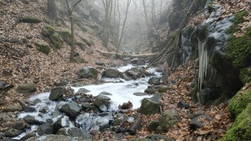 Tarjánka-szurdok