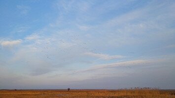 Tavaszi ismétlés, avagy tévhitek a Natura 2000 gyepterületekkel kapcsolatban