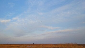 Tavaszi ismétlés, avagy tévhitek a Natura 2000 gyepterületekkel kapcsolatban