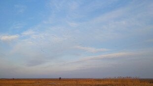 Tavaszi ismétlés, avagy tévhitek a Natura 2000 gyepterületekkel kapcsolatban