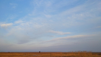 Tavaszi ismétlés, avagy tévhitek a Natura 2000 gyepterületekkel kapcsolatban