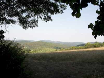 bolygotura_tanosveny_6