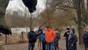 Téli barangolás az egykori trópusokon