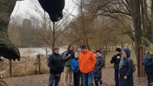 Téli barangolás az egykori trópusokon