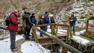 Téli barangolás az egykori trópusokon