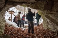 Téli túrák nemzeti parkjainkban - Újévi fatörzsbarlang túra a miocén ősvilágba határátlépőknek