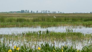 „Természetes üzenetek” - Plakáttervező pályázat középiskolások és felnőtt alkotók számára