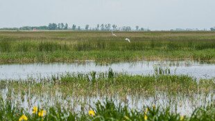 „Természetes üzenetek” - Plakáttervező pályázat középiskolások és felnőtt alkotók számára