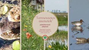 „Természetes üzenetek” - plakáttervező pályázatot hirdetünk