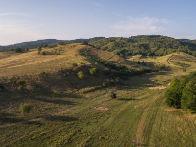 vm_bukk_93DJI_0019