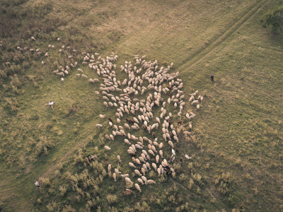 vm_bukk_103DJI_0027