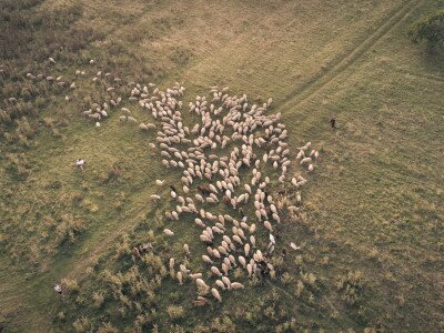 vm_bukk_103DJI_0027